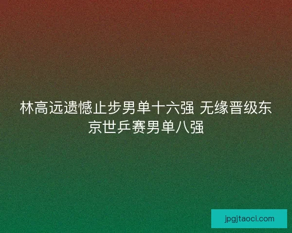 林高远遗憾止步男单十六强 无缘晋级东京世乒赛男单八强