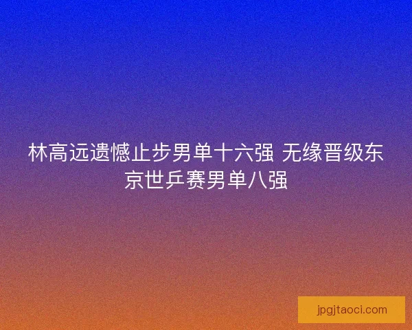林高远遗憾止步男单十六强 无缘晋级东京世乒赛男单八强